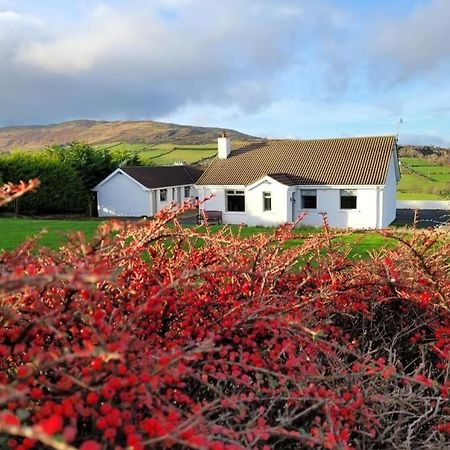 Cathleen'S Cottage Newry Exteriör bild