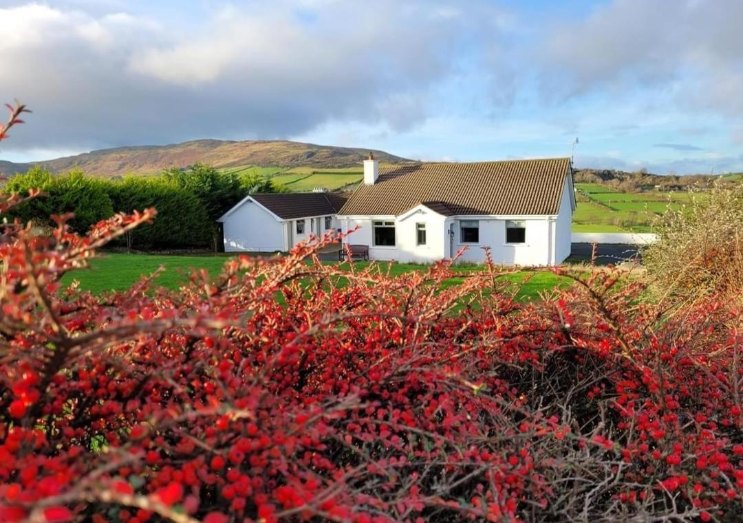 Cathleen'S Cottage Newry Exteriör bild